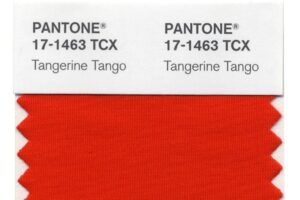 pantone tangerine tango couleur 17-1463