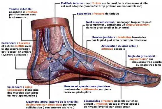 soin des pieds sante des pieds au tango pathologies