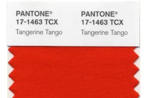 pantone couleur tangerine tango couleur tango